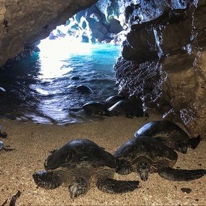 Meet your Posher, Daniela